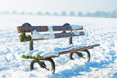 bench-163833_640